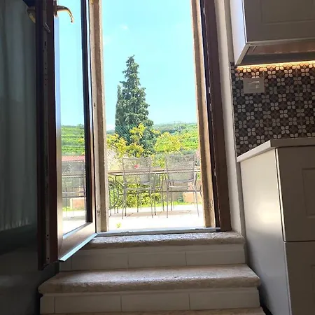 The Wineyard House * פומאנה