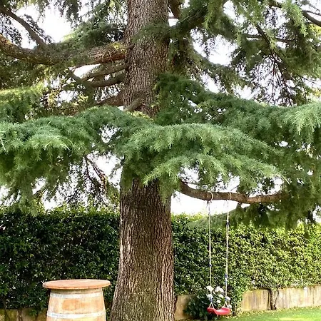 The Wineyard House