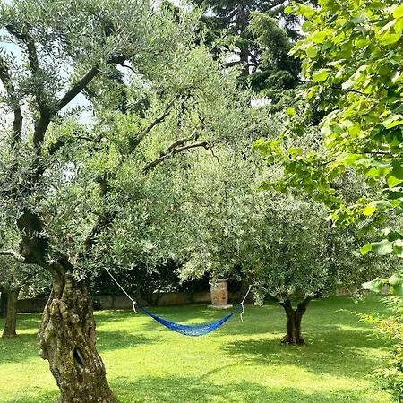 בית נופש The Wineyard House פומאנה